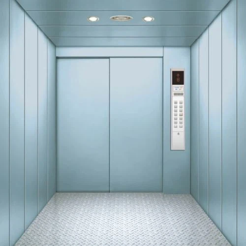 Hidden Car Elevator